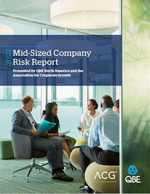 Mid Sized Company Risk Report 2022